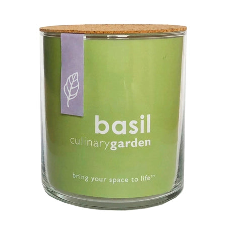 Essential | Basil Culinary Indoor Garden | Herb Gardening