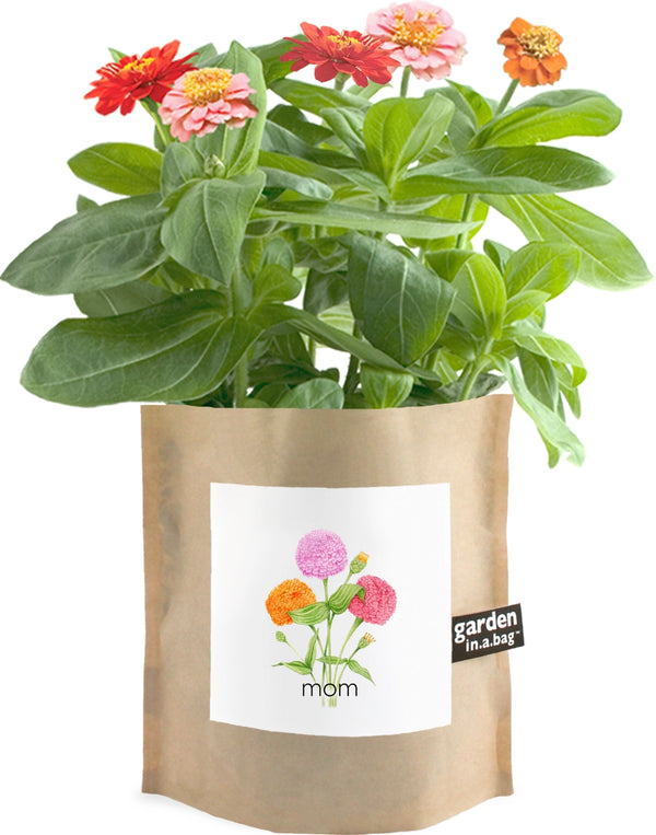 Garden in A Bag | Mom | Mother's Day | Best Seller