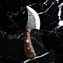 Carbon Steel Black Walnut Skinning Knife by Titan BR-001