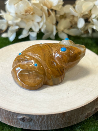 Hand Carved Stone Fetish Animals - Gordon Poncho -Frog