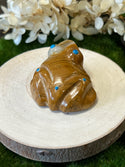 Hand Carved Stone Fetish Animals - Gordon Poncho -Frog