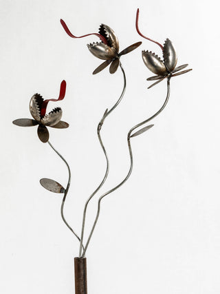 Mini Venus Set of 3