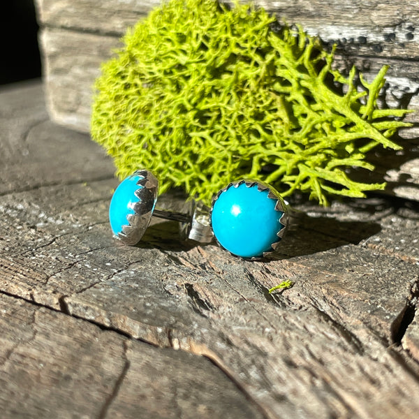 Silver Pearl Ranch - Silver and Turquoise Stud Earrings