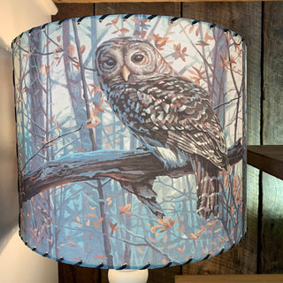 Large Found Images Handmade Lampshades - Wichita Falls, TX