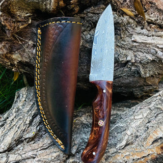 Damascus Drop Style Hunting Knife with Black Walnut Scaled Handle By Titan TK-053