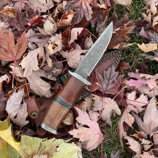 Ironwood Stalker Damascus Steel Hunting Knife by Titan International TK-214