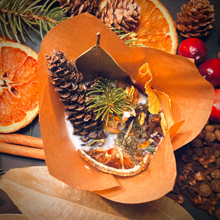 All-Natural Fire Starter