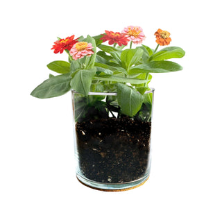 Essential | Mom Flower Garden | Mother's Day | Best Seller