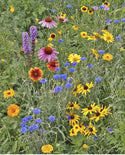 Scatter Garden | Songbird | Bird Lovers