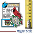 WV State Montage Magnet