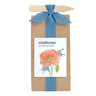 Scatter Garden | Wildflower | Spring