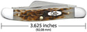 Case® - Amber Bone Peach Seed Jig Medium Stockman #00042