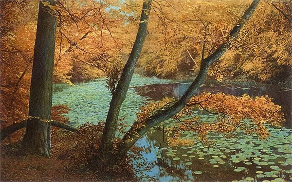 Postcard - Vintage Image - Autumn by Forest Pond