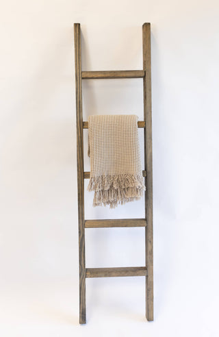 Wood Ladder